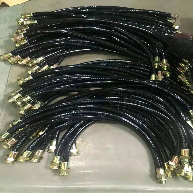 DN20zܛ ܇(ch)g| zԹ