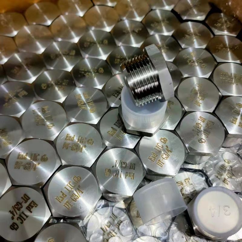 304PǶ^ нӷǘ(bio) ͉