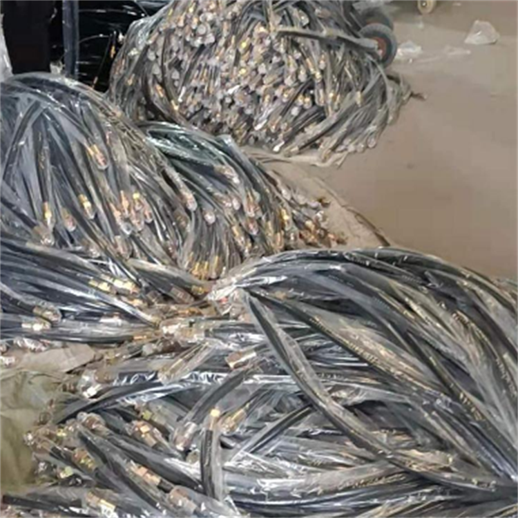 ܛ܏S z EX(bio)R(sh)^