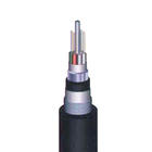 VV22zb|  VVV22zb|  С؈|