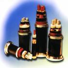  vС؈|uSUGF|߉|-̖Rȫ|