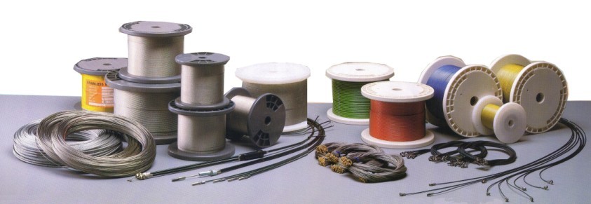 z䓽zK 䓽zK ͸z䓽zK