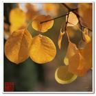 Sɽ|S硿ɽ|SСء2012S