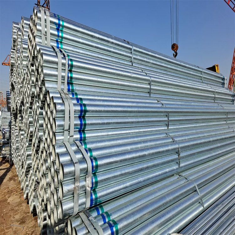 t(y) \1 (ni)Ϳ\A ĥp͸߉