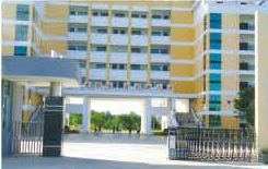 Ϻ늄(dng)sTS 늄(dng)sTS