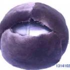 (yng)ӱǡqȫñqȫñrqȫñBD