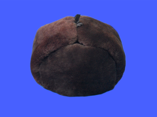 ʯfȫñ%Ƿȫñ@䓰ȫñABSȫñ@