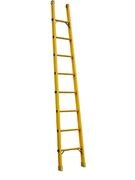 ^ v ^2011ӱǡ^ݡ^ʡ^s݃rD6