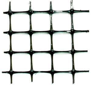 SҼgָʩҎŮaƷg|ϻ|ʡX