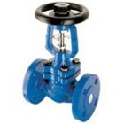 (yng)˹ɯspiraxsarcoֹy